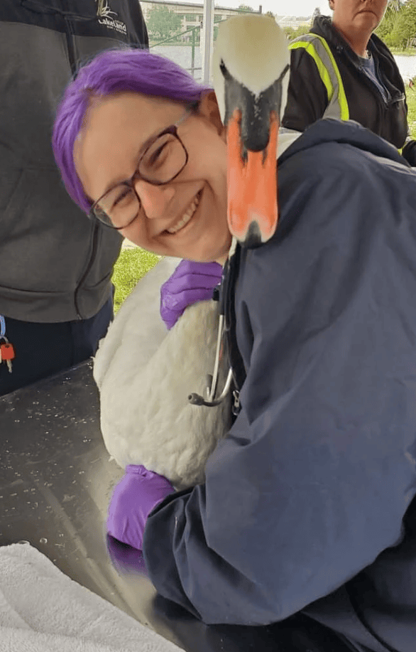 Images: Dr. Price Dickson - My Pet's Animal Hospital